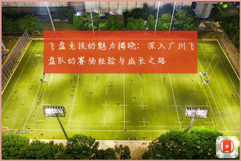飞盘竞技的魅力揭晓：深入广州飞盘队的赛场经验与成长之路